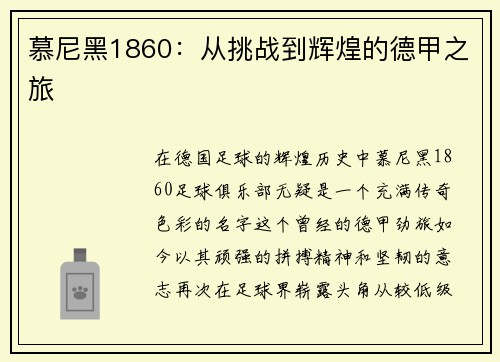 慕尼黑1860：从挑战到辉煌的德甲之旅